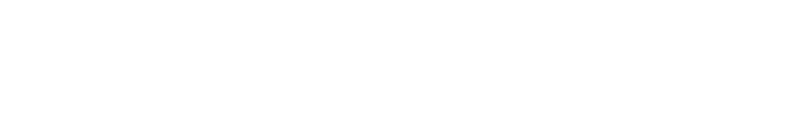 BIZREACH AI